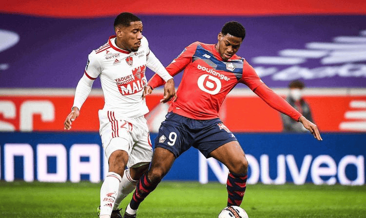 罗慕洛在比 罗慕洛在比