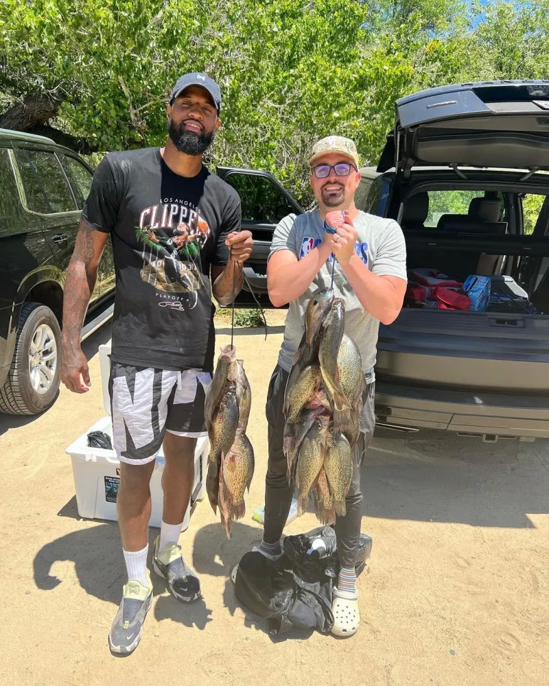 在关于联赛 在关于联赛